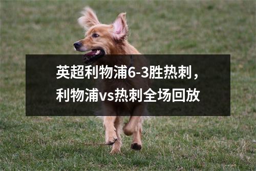 英超利物浦6-3胜热刺，利物浦vs热刺全场回放