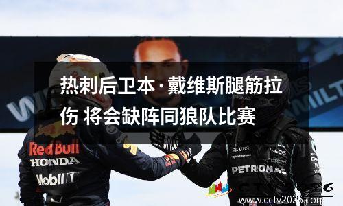 热刺后卫本·戴维斯腿筋拉伤 将会缺阵同狼队比赛
