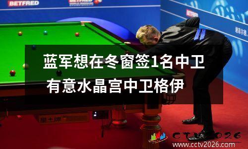 蓝军想在冬窗签1名中卫 有意水晶宫中卫格伊