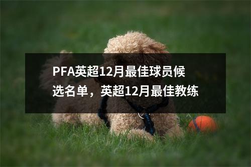 PFA英超12月最佳球员候选名单，英超12月最佳教练