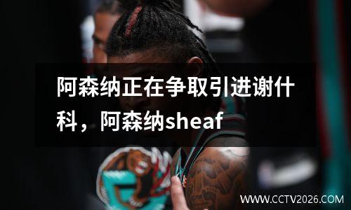 阿森纳正在争取引进谢什科，阿森纳sheaf