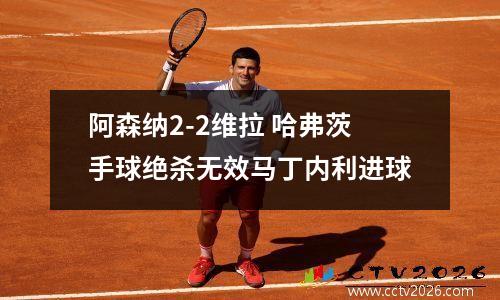 阿森纳2-2维拉 哈弗茨手球绝杀无效马丁内利进球
