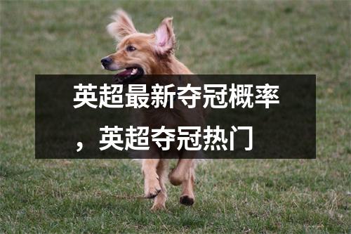 英超最新夺冠概率，英超夺冠热门
