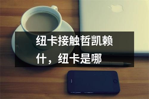 纽卡接触哲凯赖什，纽卡是哪