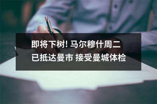 即将下树! 马尔穆什周二已抵达曼市 接受曼城体检