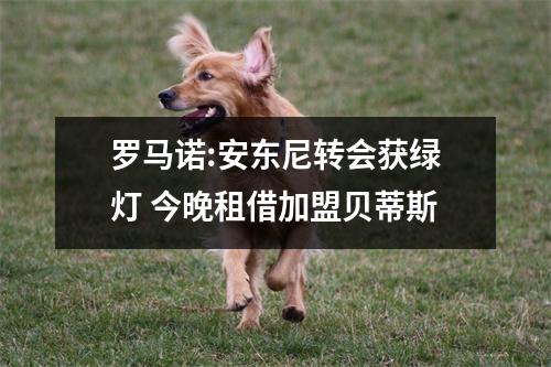 罗马诺:安东尼转会获绿灯 今晚租借加盟贝蒂斯
