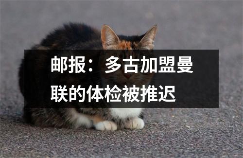 邮报：多古加盟曼联的体检被推迟