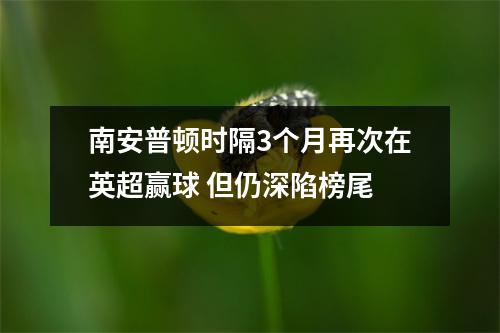 南安普顿时隔3个月再次在英超赢球 但仍深陷榜尾