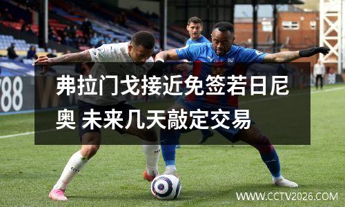 弗拉门戈接近免签若日尼奥 未来几天敲定交易