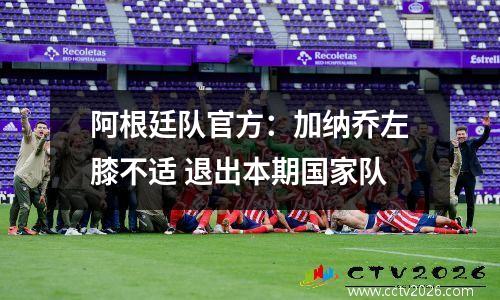 阿根廷队官方：加纳乔左膝不适 退出本期国家队