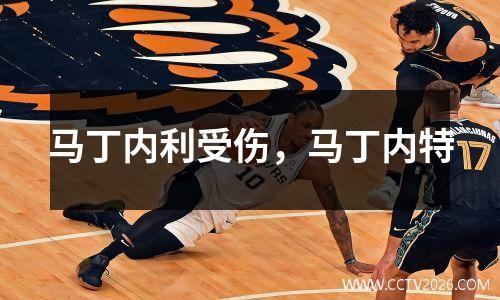马丁内利受伤，马丁内特