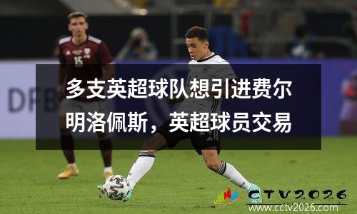 多支英超球队想引进费尔明洛佩斯，英超球员交易