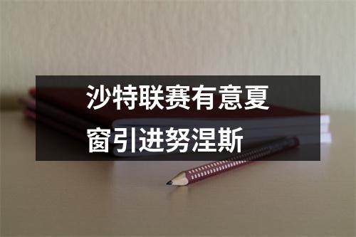 沙特联赛有意夏窗引进努涅斯