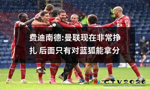 费迪南德:曼联现在非常挣扎 后面只有对蓝狐能拿分