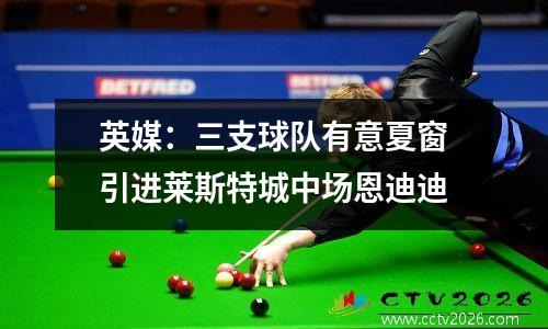 英媒：三支球队有意夏窗引进莱斯特城中场恩迪迪