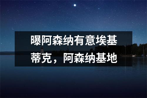 曝阿森纳有意埃基蒂克，阿森纳基地