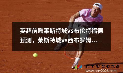英超前瞻莱斯特城vs布伦特福德预测，莱斯特城vs西布罗姆维奇