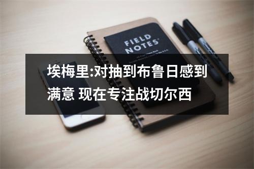 埃梅里:对抽到布鲁日感到满意 现在专注战切尔西