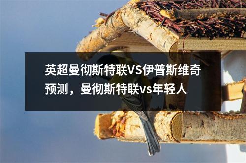 英超曼彻斯特联VS伊普斯维奇预测，曼彻斯特联vs年轻人