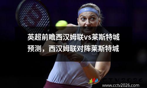 英超前瞻西汉姆联vs莱斯特城预测，西汉姆联对阵莱斯特城