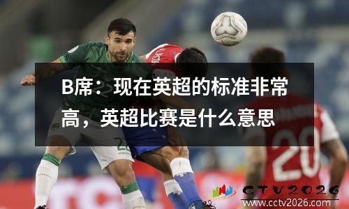 B席：现在英超的标准非常高，英超比赛是什么意思