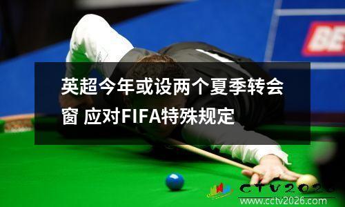 英超今年或设两个夏季转会窗 应对FIFA特殊规定