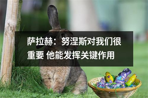 萨拉赫：努涅斯对我们很重要 他能发挥关键作用