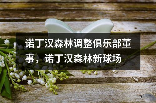 诺丁汉森林调整俱乐部董事，诺丁汉森林新球场