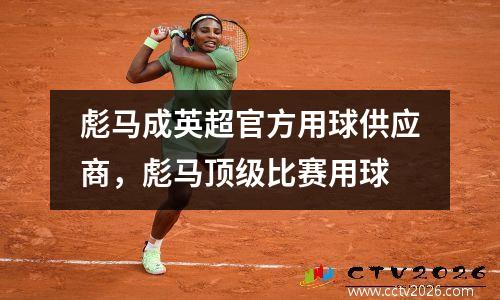 彪马成英超官方用球供应商，彪马顶级比赛用球