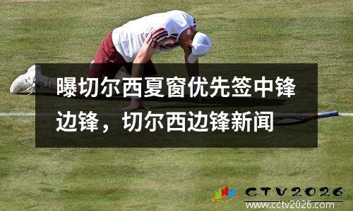 曝切尔西夏窗优先签中锋边锋，切尔西边锋新闻