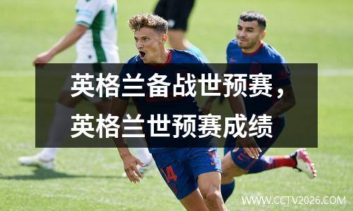英格兰备战世预赛，英格兰世预赛成绩