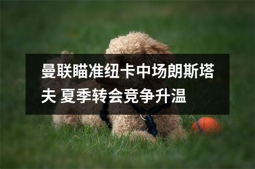 曼联瞄准纽卡中场朗斯塔夫 夏季转会竞争升温