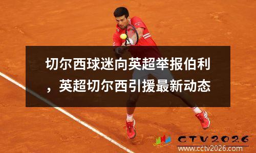 切尔西球迷向英超举报伯利，英超切尔西引援最新动态