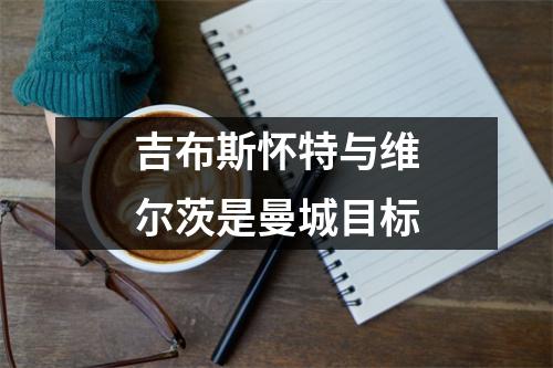 吉布斯怀特与维尔茨是曼城目标