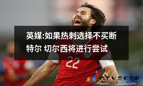 英媒:如果热刺选择不买断特尔 切尔西将进行尝试
