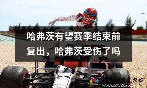 哈弗茨有望赛季结束前复出，哈弗茨受伤了吗