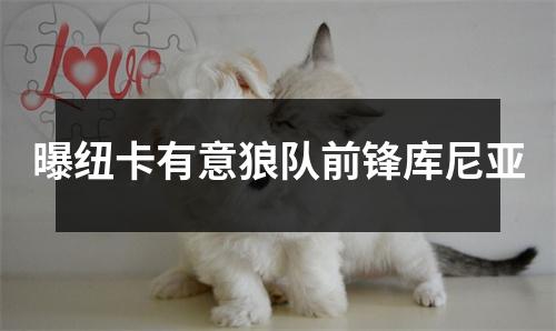曝纽卡有意狼队前锋库尼亚