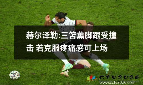 赫尔泽勒:三笘薫脚跟受撞击 若克服疼痛感可上场