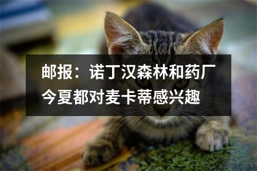 邮报：诺丁汉森林和药厂今夏都对麦卡蒂感兴趣