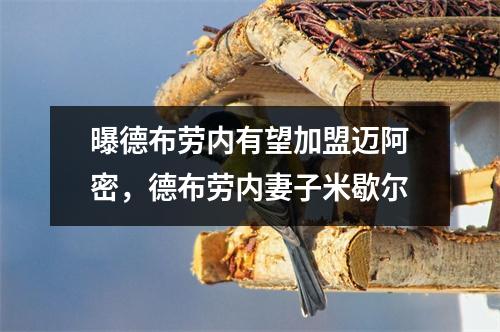 曝德布劳内有望加盟迈阿密，德布劳内妻子米歇尔