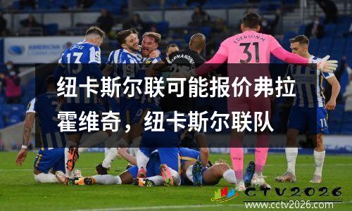 纽卡斯尔联可能报价弗拉霍维奇，纽卡斯尔联队