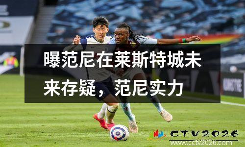 曝范尼在莱斯特城未来存疑，范尼实力