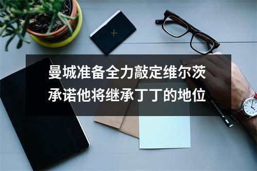 曼城准备全力敲定维尔茨 承诺他将继承丁丁的地位