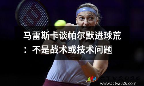 马雷斯卡谈帕尔默进球荒：不是战术或技术问题