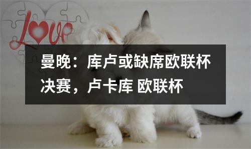 曼晚：库卢或缺席欧联杯决赛，卢卡库 欧联杯