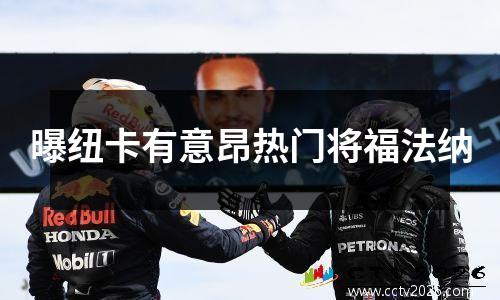 曝纽卡有意昂热门将福法纳