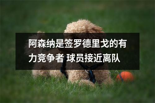 阿森纳是签罗德里戈的有力竞争者 球员接近离队