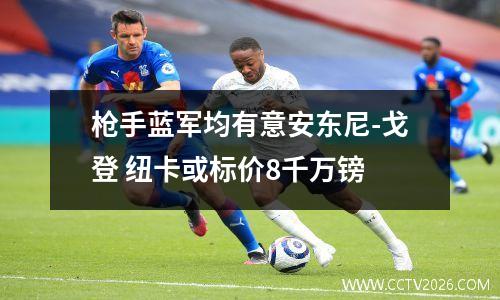 枪手蓝军均有意安东尼-戈登 纽卡或标价8千万镑