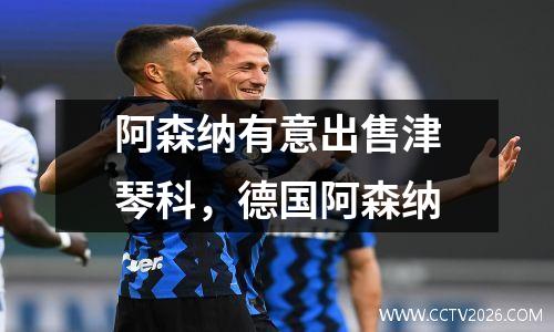 阿森纳有意出售津琴科，德国阿森纳