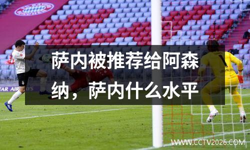 萨内被推荐给阿森纳，萨内什么水平
